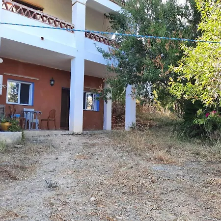 Garden *